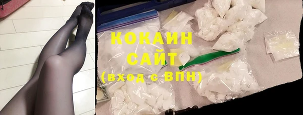 крисы Сатка