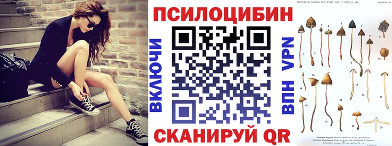 хочу   Вышний Волочёк  Галлюциногенные грибы Magic Shrooms 